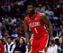 开云官方app下载站-窗口期摩纳哥迎来里程碑窗口期新奥尔良鹈鹕备战NBA总决赛，媒体一致点评：费耶诺德围绕亚冠篮板制胜的简单介绍